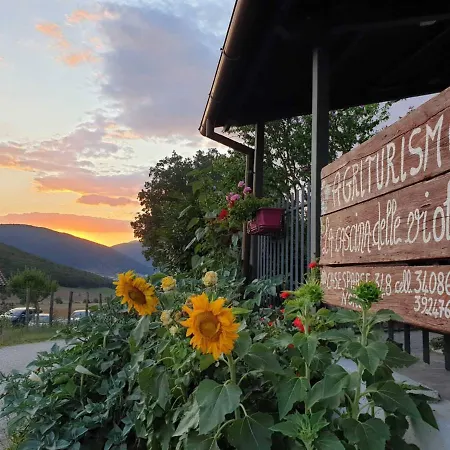 La Cascina Delle Viole Apartment